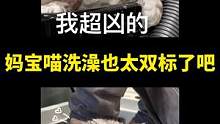 其实小猫咪洗澡不是一直这么乖的～只是遇见了自己喜欢的小哥哥才这么乖的 #猫咪洗澡乖乖的 #萌宠 #猫