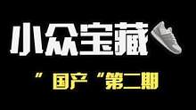 小众宝藏国产球鞋了解一下 #高级感 #宝藏鞋子 #国潮