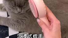 沉浸式梳毛~如果你家猫咪也爱掉毛一定要安排一个#萌宠好物