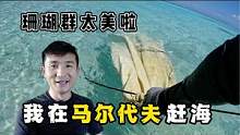 《环球探海记》马尔代夫 第18天：赶海偶遇一只鲨鱼和裸胸鳝同居，太不可思议了#马尔代夫 #旅行大玩家