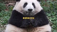 花花：希望大家每天都过的开心#熊猫 