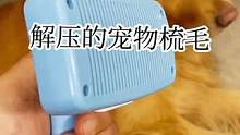 强烈建议家里有毛孩子的入手这个能自动弃毛的梳毛器#解压#我家毛孩子 