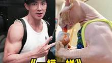 #猫界刘畊宏  健身猫咪也太酷了吧，核心一定很稳吧？#刘畊宏 #猫 #娱乐评论大赏 