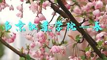 #春雨 #南京 #节水在身边 #记录校园时光 #南京铁道职业技术学院 #春天你好 #校园生活 #vl