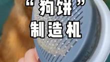 好用又解压，没事刷一刷，你要不要来一块狗饼#狗狗梳毛神器 #萌宠好物