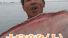 出海拉网抓到50一斤的皇帝鱼，收获各种值钱的好货，今天赚翻了（上）