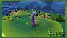 #流风眷堇庭 #原神 
草系反应演示 可以参考一下。。