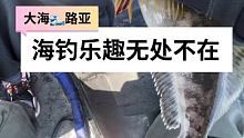 #钓鱼人 #户外钓鱼 #海钓
