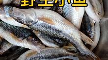 野生小鱼又嫩又甜 #记录我的农村生活 #钓鱼