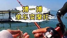 搏一搏单车变摩托 #垂钓的快乐你想象不到 #钓鱼 #海钓
