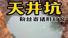 【天井坑】FS寄来猪肝换鱼吃