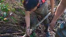 在两百包下的荒废鱼塘里找货，没想到最后塘主...#三农 #记录我的农村生活 #农村生活 