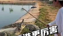 看样子，鳄鱼也爱欺负小孩！把我吓坏了！#鳄鱼养殖场 #鳄鱼皮带 #鳄珍 