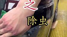 夏天到了，除虫成了很重要的第下一步#精致洗车 #银川洗车 #富伦汽车美容