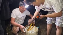 芦苇边上抓黄鳝，斤把大货藏洞里不出来，阿董和小舅子费劲掏出来