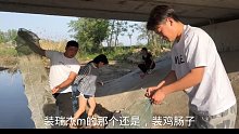 小河沟下地笼逮龙虾，阿董和小舅子没白忙活，逮的龙虾做了一大盘