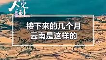 接下来的几个月，云南是这样子的，#云南地接云南旅游