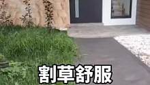割草割草#解压 #强迫症治愈系