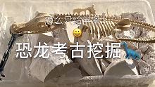 #考古玩具 #好物分享 饿了龙饿了龙饿了龙诶 @豆豆崽•͈⌔•͈(O3xigftb3w2degkg)