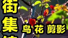 照抄4套参数2个技巧，新手不愁扫街没思路！#摄影 #摄影技巧 