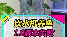 饮水机养鱼，是个不错的想法～#水族 #观赏鱼 #diy #健康饮水 #水族爱好者 