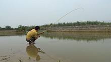 几年没清塘的老鱼塘，小明开钓狂甩几十竿，最后可惜了