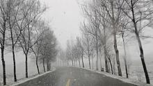 春天里的鹅毛大雪！