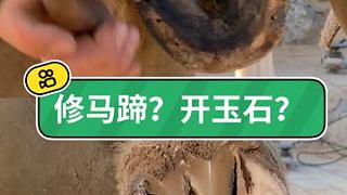 這修馬蹄跟開玉石似的 #修蹄釘掌 #小海豹釘蹄 #解壓