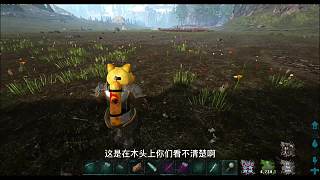 空白的翔寶寶     #高能時(shí)刻#