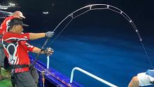 #钓鱼人 #钓鱼 #深海钓鱼 能拉断的都不是好杆子！注意细节，多大的鱼都不是问题！