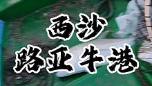 西沙路亚牛港 #西沙 #路亚 #牛港