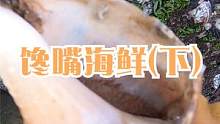 来叔赶海顺着裙带菜找货，一个接一个抓嘴馋海鲜，岸上都能捡到鱼（下）