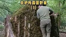 在自己建的庇护所露营（3）。#庇护所 #户外技能 #户外露营 #户外野餐 #户外休闲 