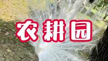 3⃣️9⃣️.9⃣️早鸟。。。冲鸭！#搜索流量来了 #我的探店日记 #亲子游玩好去处 #周末去哪玩 
