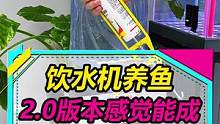 饮水机养鱼2.0版，打了玻璃胶，这次应该能成功！#水族  #diy #健康饮水  