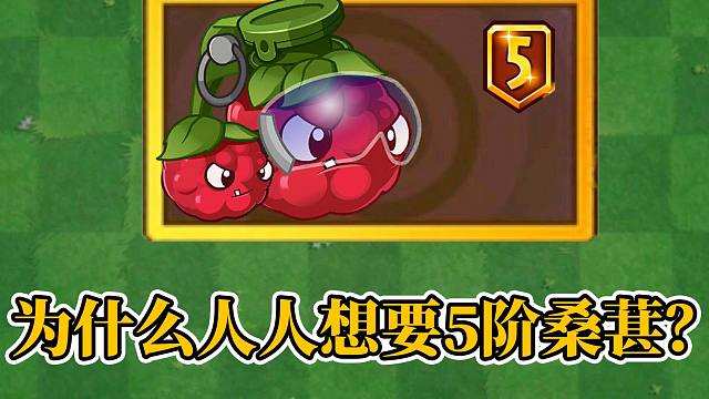 pvz2:为什么人人想要5阶桑葚爆破手?