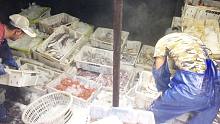 远海捕捞一千多斤梭子蟹、200多箱渔获，老张这次又发财了！