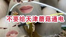 不 要 给 天 津 蘑 菇 通 电