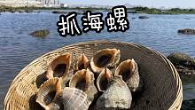 坐船去海螺岛赶海，螃蟹、大海螺真不少，上船直接开煮