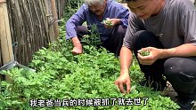 梦见我爸爸叫我开门，一醒来才发现这是梦。