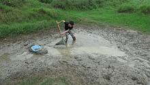 大叔灌溉农田抽干水坑发现靓货，小明用抄网捞到四十多条，开心了