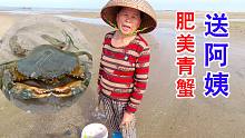 青蟹季节来了，阿聪连抓5只阿姨看呆了要当场买下，阿聪阔气送她