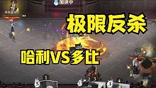 哈利极限反杀多比，非常精彩