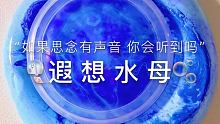 下午好～困4我了 深圳明后天大暴雨 拭目以待<(ToT)>前两天拍了还多vid 几乎都编辑好了 慢慢