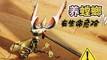 千万别养这螳螂！血压狂飙180，崩溃！！