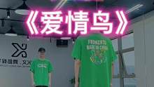 #爱情鸟 “爱情鸟慢动作镜面教学，简单又好学”#dou来跳舞