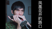 【口琴】凤凰花开的路口                                   时光的河