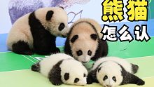 熊猫怎么认｜大家好，我是20级战神二狗