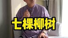 断桥杨柳青青，枝枝叶叶民心。