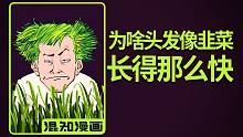 混知漫画｜为啥你的头发像韭菜长得那么快？